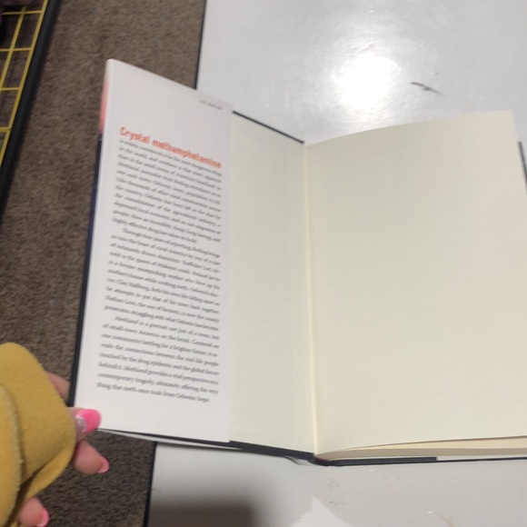 Methland The Death and Life of an American Small Town by Nick Reding - Picture 4 of 6